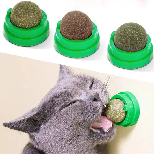 THE CATNIP CAT WALL STICK-ON BALL TOY Style and Sanctuary