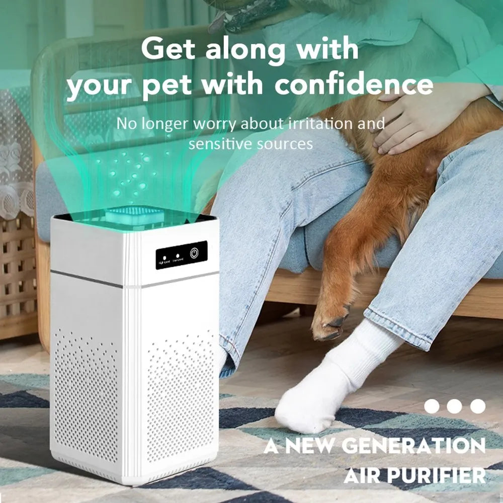 AIR PURIFIER Style and Sanctuary