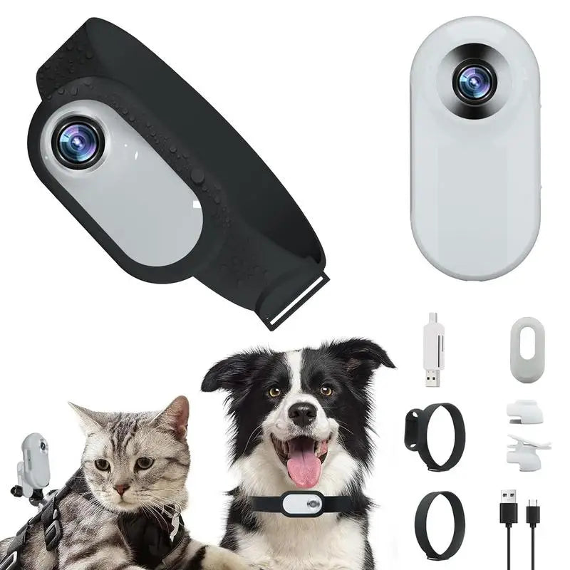 CAT CAMERA COLLAR WITH VIDEO RECORD Style and Sanctuary